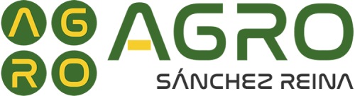 logo-web_01